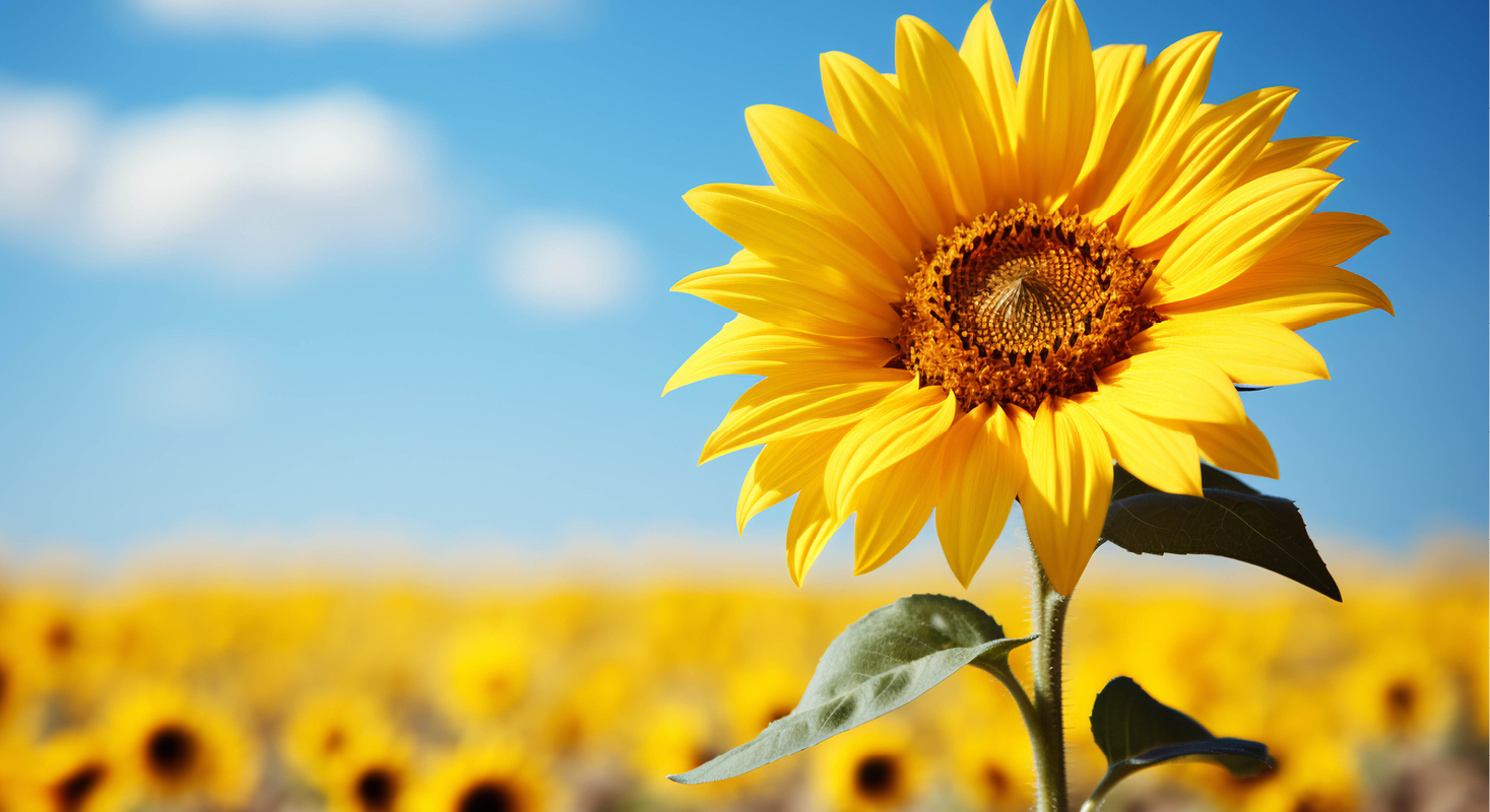 Women’s Addiction Detox