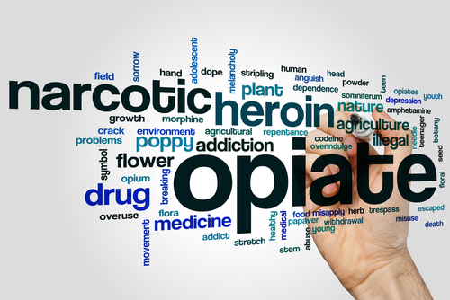 opiate word diagram
