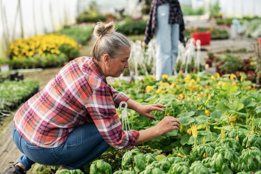 The Benefits of Horticultural Therapy in Addiction Recovery